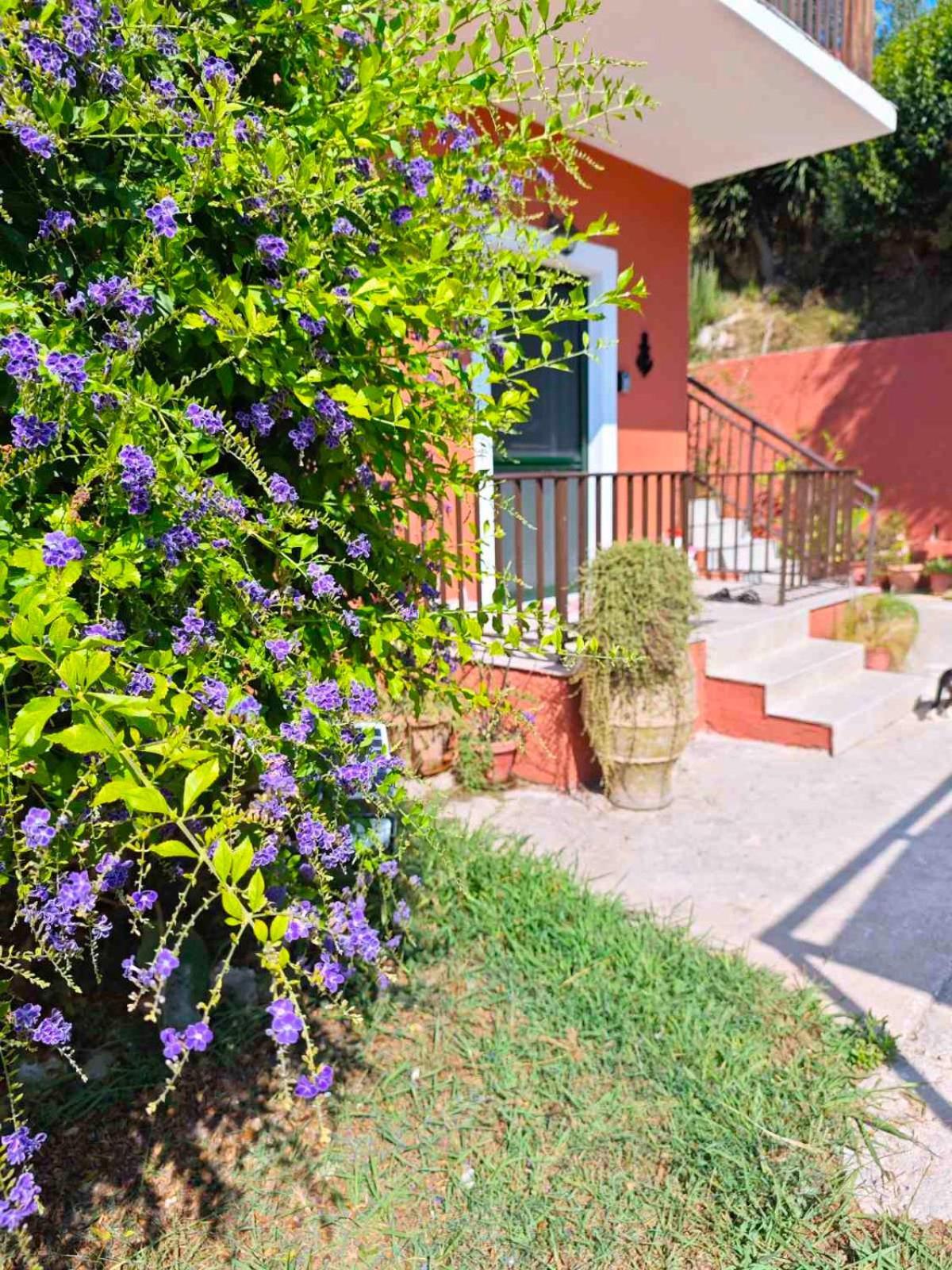 Captain'S Apt Arillas (Corfu) Exterior foto
